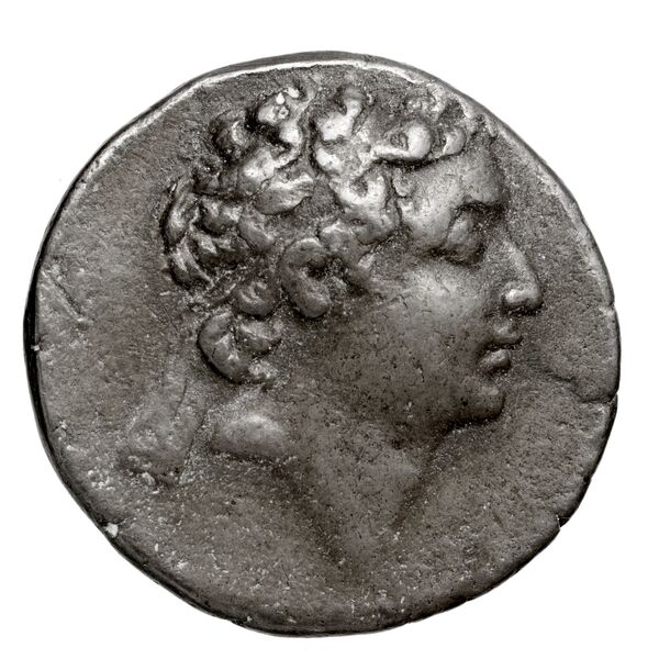 Ariarathes VI Uncertain Cappadocian Royal mint B Mørkholm 1978 B.1-6, аверс, bnf-iris