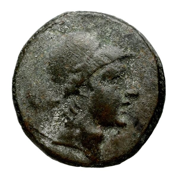 Philippi AMNG III.2 3, аверс, bnf-iris