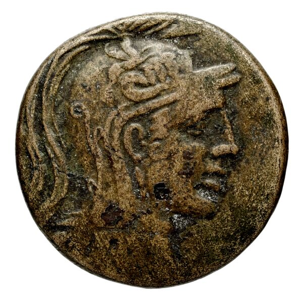 Anactorium Calciati 1990 2-42, аверс, bnf-iris