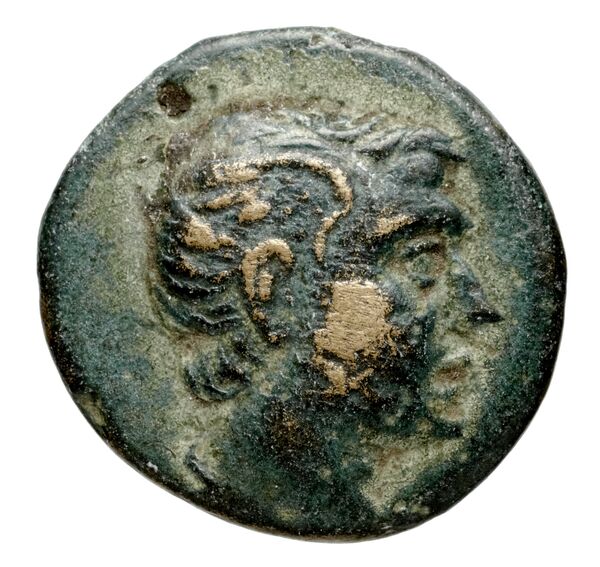 аверс Selinus Arnold-Biucchi 1992 1-8