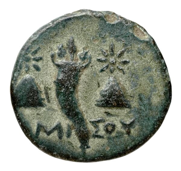 реверс Selinus Arnold-Biucchi 1992 1-8