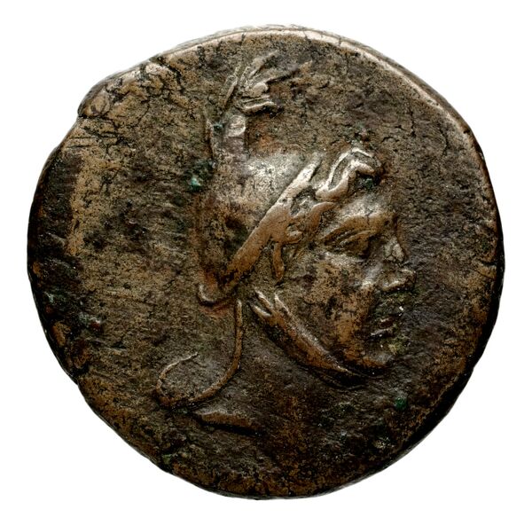 Anactorium Calciati 1990 2-42, аверс, bnf-iris