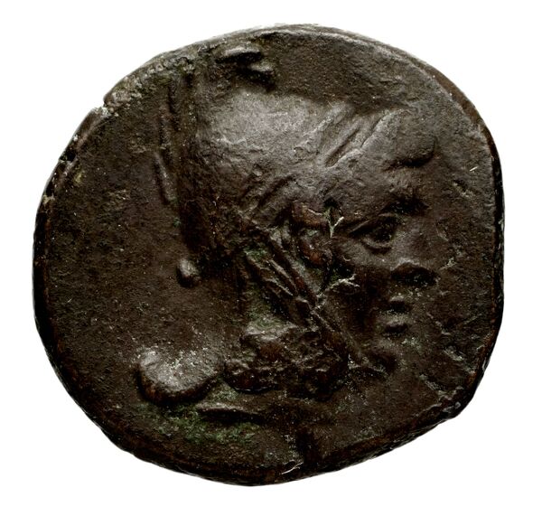 Anactorium Calciati 1990 2-42, аверс, bnf-iris