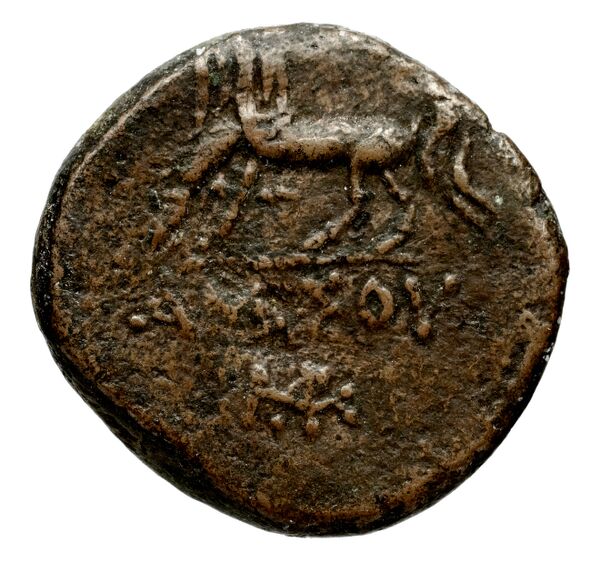 Selinus Arnold-Biucchi 1992 1-8, реверс, bnf-iris