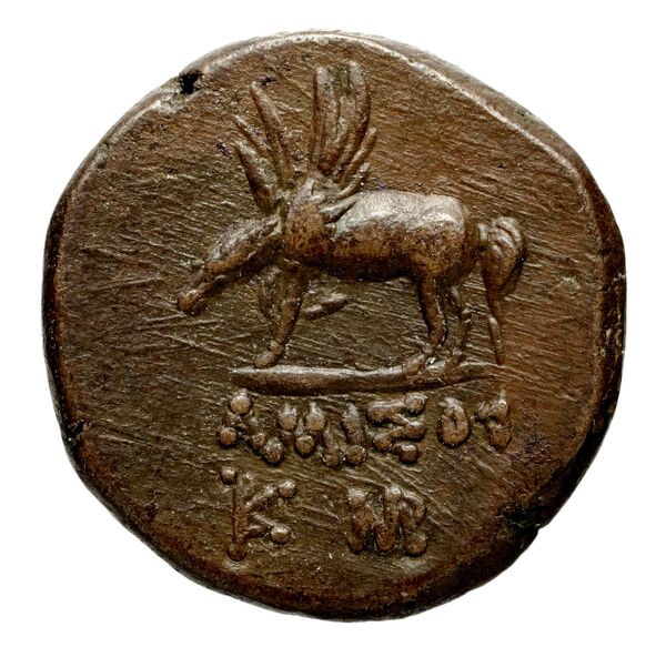 Selinus Arnold-Biucchi 1992 1-8, реверс, bnf-iris