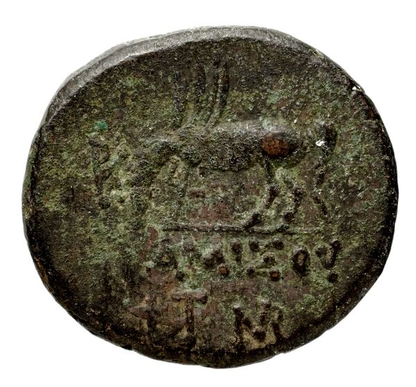 Selinus Arnold-Biucchi 1992 1-8, реверс, bnf-iris