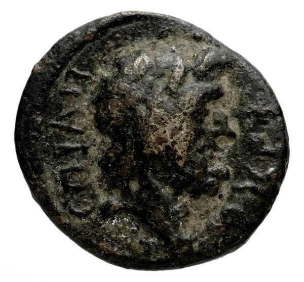 Laodicea ad Mare SNG Copenhagen Laodicea 335, аверс, bnf-iris