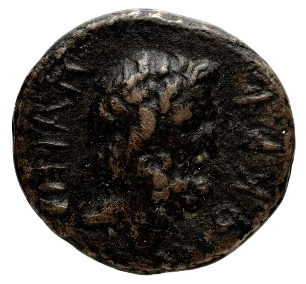 Laodicea ad Mare SNG Copenhagen Laodicea 335, аверс, bnf-iris
