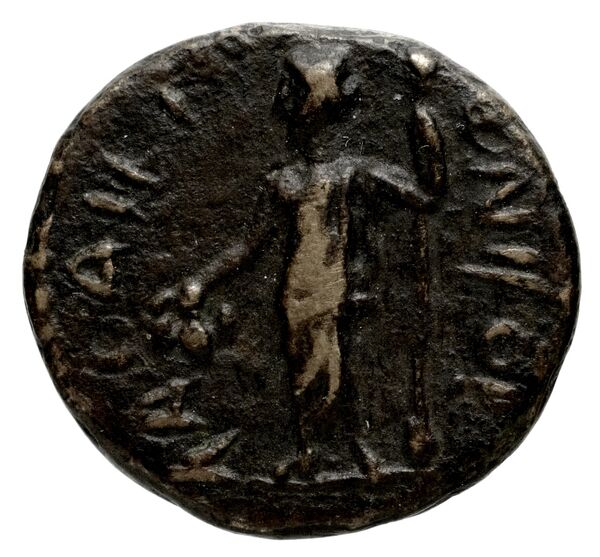 Laodicea ad Mare SNG Copenhagen Laodicea 335, реверс, bnf-iris
