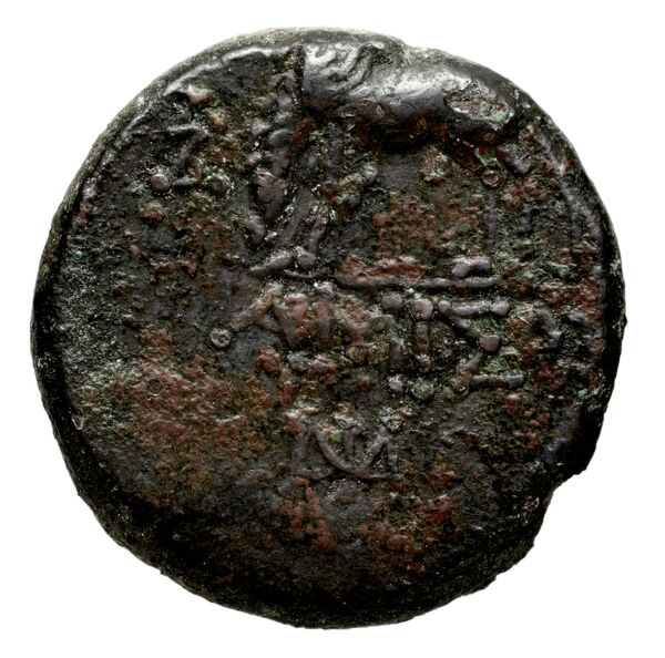 Laodicea ad Mare BMC Laodiceia ad Mare 12, реверс, bnf-iris