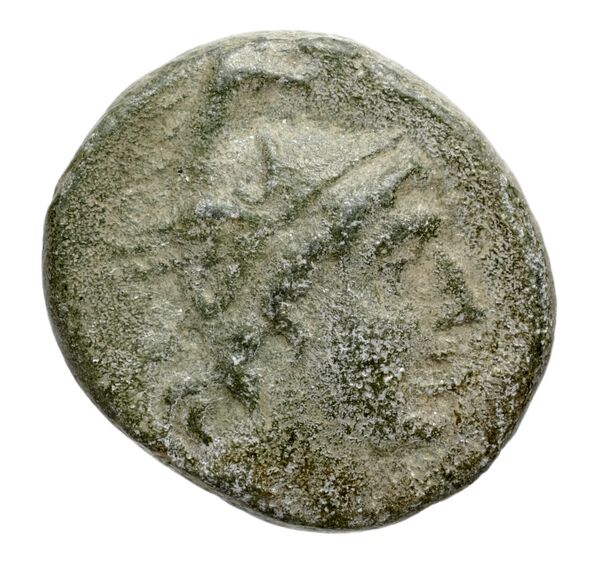 аверс Selinus Arnold-Biucchi 1992 9-12
