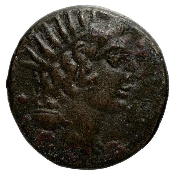 Selinus Arnold-Biucchi 1992 9-12, аверс, bnf-iris