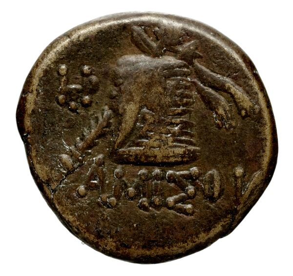 реверс Selinus SNG ANS 713-714