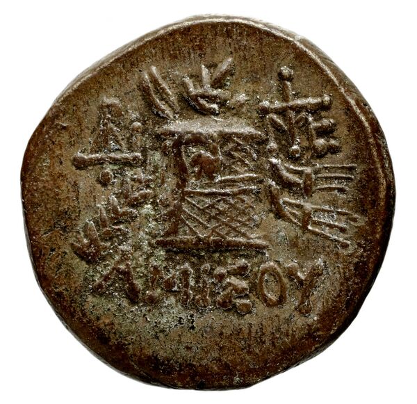 реверс Selinus SNG Copenhagen Selinus 605