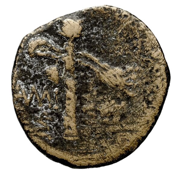 reverse Laüs Historia Numorum Italy 2278