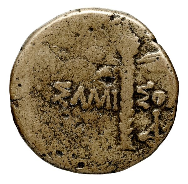 Ambracia Calciati 1990 56-85, реверс, bnf-iris