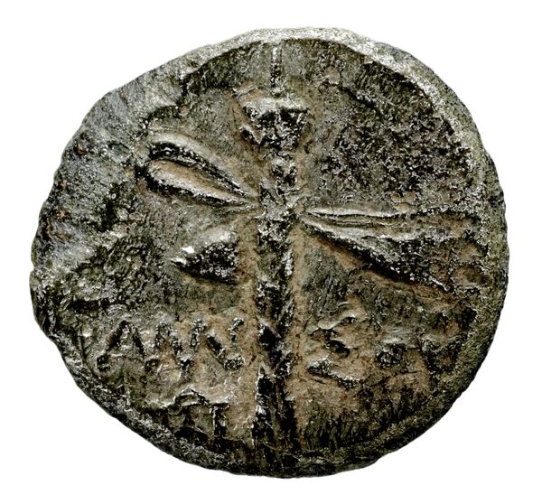 reverse Solus Puglisi 2009 293