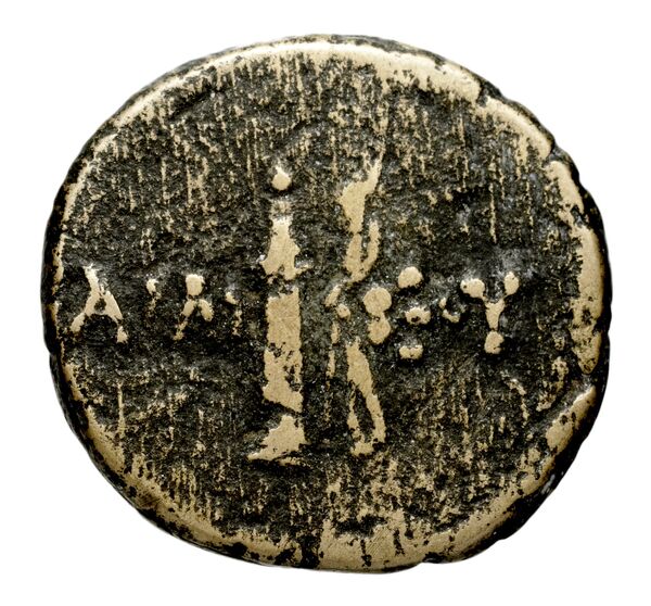 reverse Solus Puglisi 2009 294