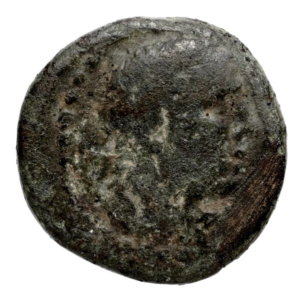 Scione AMNG III.2 10-13, аверс, bnf-iris