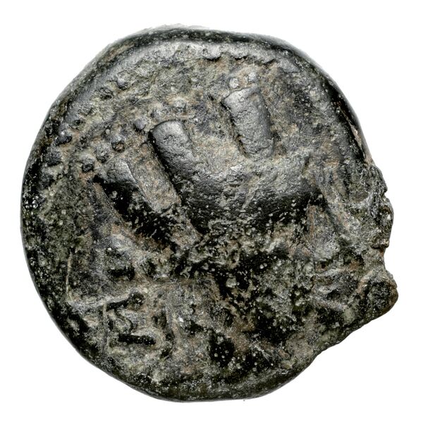Tarsus SNG Levante 910-12, obverse, bnf-iris