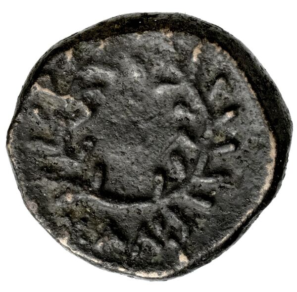 Calymna BMC Calymna 30-36, реверс, bnf-iris