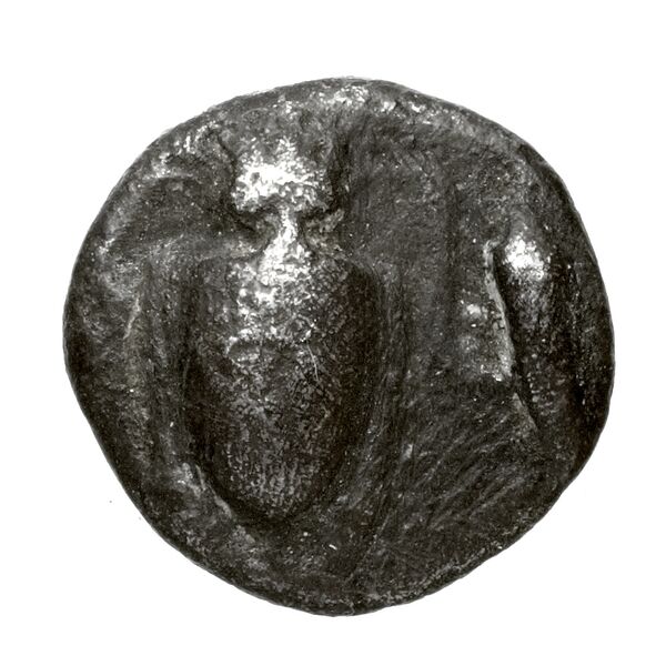 Locri Opuntii (Opus) Morineau and Delbridge 2014 Stater group 1-28; drachm group 1; triobol group 1-11, аверс, bnf-iris