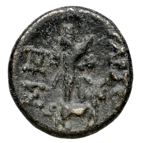 Corinth BMC Corinth 302; 415, реверс, bnf-iris