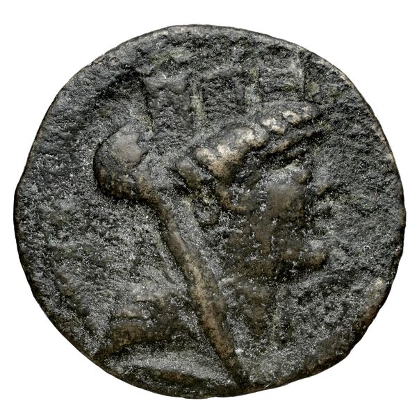 Corinth BMC Corinth 193, аверс, bnf-iris