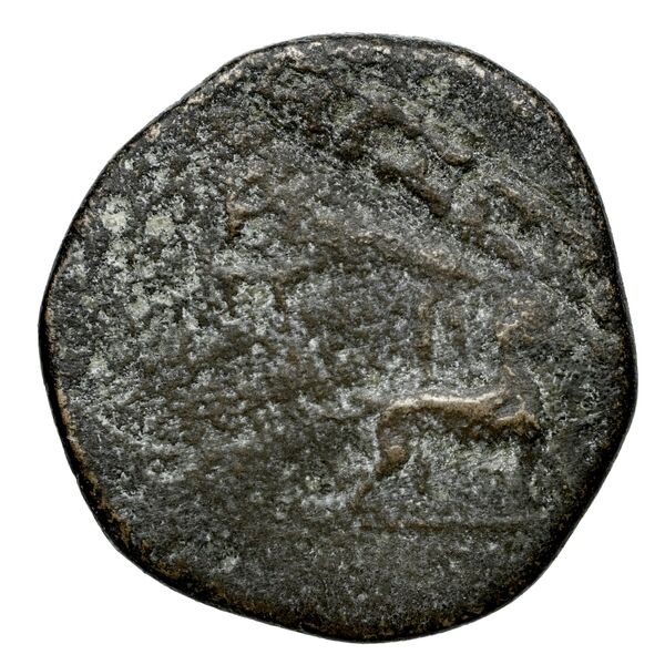 Corinth BMC Corinth 381, реверс, bnf-iris