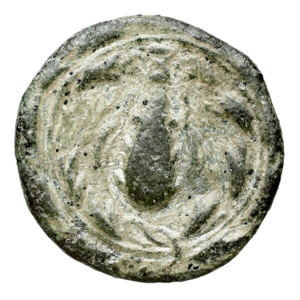 Corinth BMC Corinth 381, реверс, bnf-iris