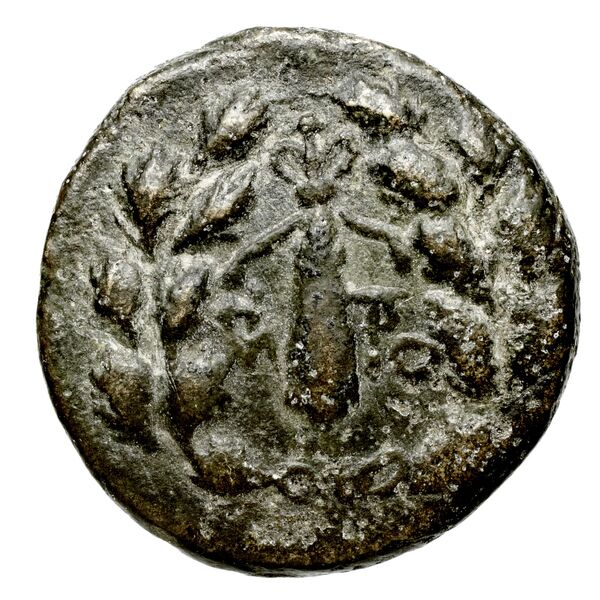 Corinth BMC Corinth 381, реверс, bnf-iris