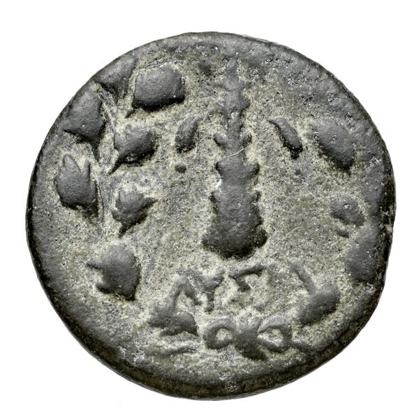 Corinth BMC Corinth 381, реверс, bnf-iris