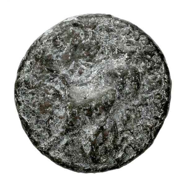 аверс Metapontum Historia Numorum Italy 1528-30