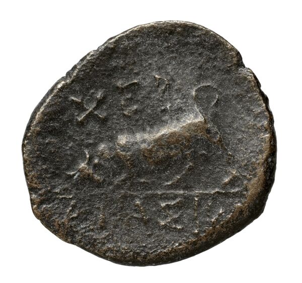 Chersonesus, Tauric Anokhin 2011 782-3, реверс, bnf-iris
