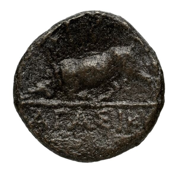 Chersonesus, Tauric Anokhin 2011 782-3, реверс, bnf-iris