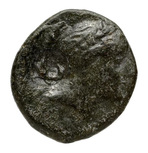 Chersonesus, Tauric Anokhin 2011 782-3, bnf-iris
