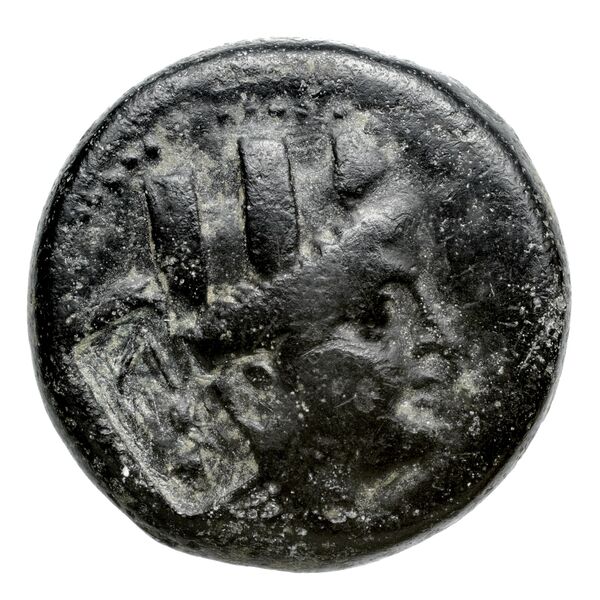 Tarsus SNG Levante 918-23, аверс, bnf-iris