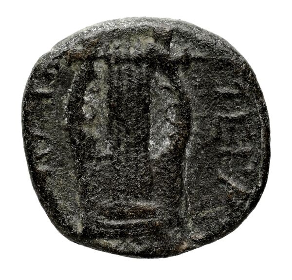 reverse Metapontum Historia Numorum Italy 1606