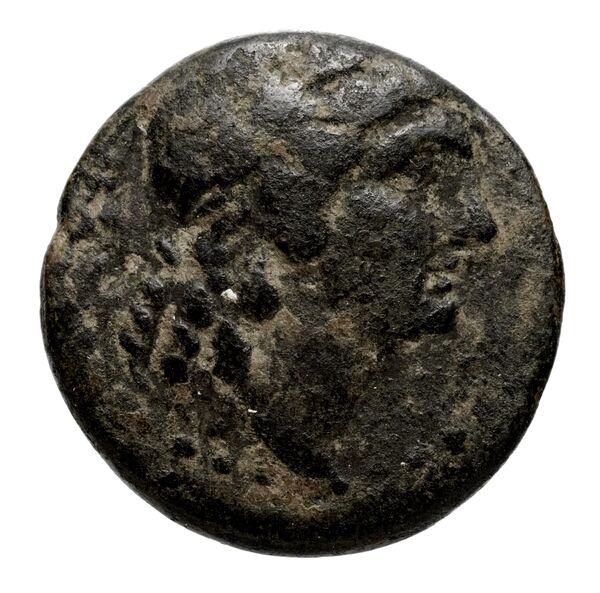 obverse Metapontum Historia Numorum Italy 1641