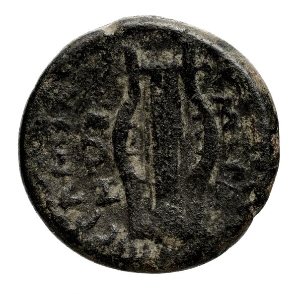 reverse Metapontum Historia Numorum Italy 1641