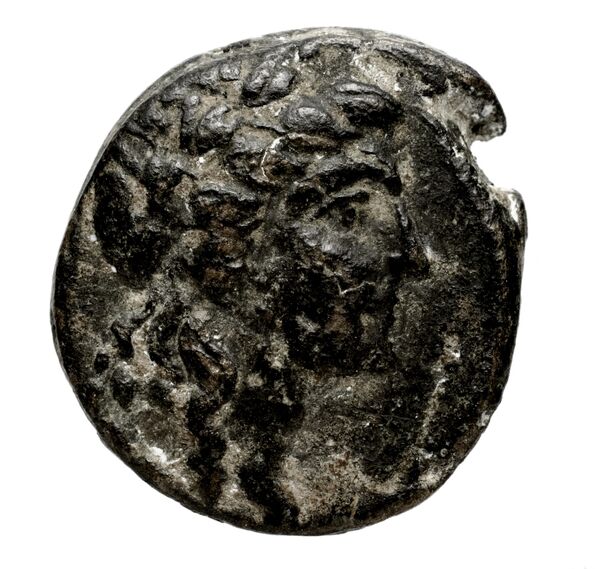 аверс Metapontum Historia Numorum Italy 1704