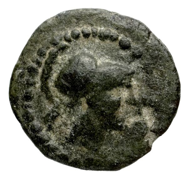 obverse Megara BMC Megara 21-29