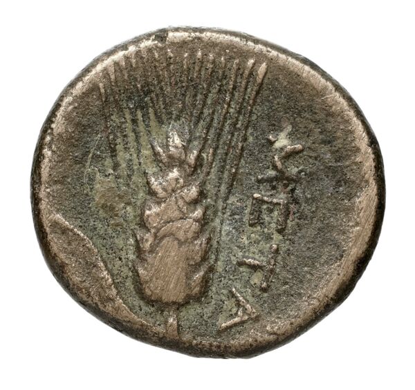 Metapontum Historia Numorum Italy 1695, реверс, bnf-iris