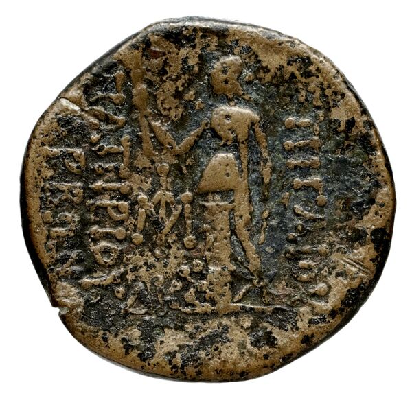 реверс Metapontum Historia Numorum Italy 1709