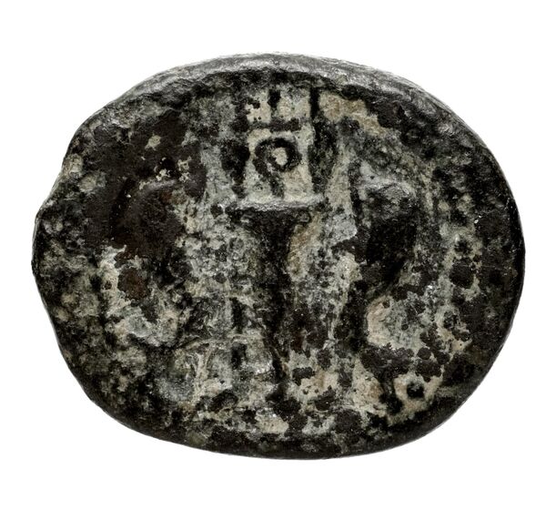 Megara BMC Megara 30-34, реверс, bnf-iris