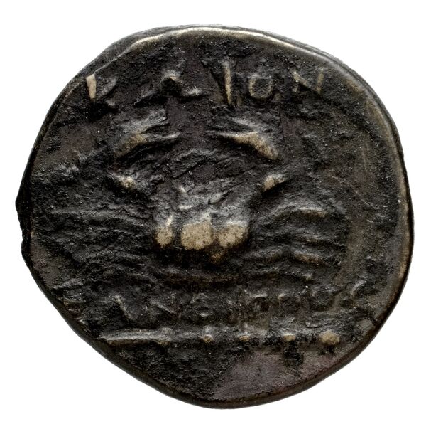 Metapontum Historia Numorum Italy 1710, реверс, bnf-iris