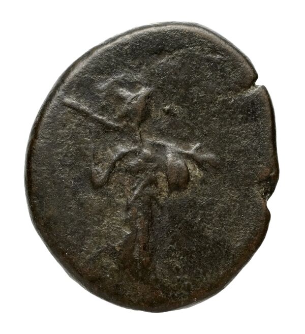Cassander Macedon AMNG III.2 9, аверс, bnf-iris