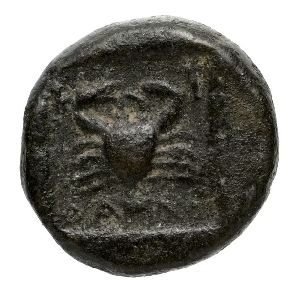 Cassander Macedon AMNG III.2 9, реверс, bnf-iris