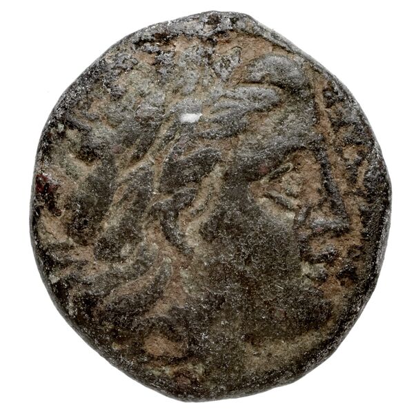 Cassander Macedon AMNG III.2 9, аверс, bnf-iris