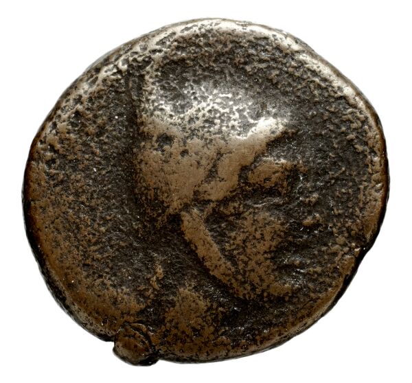 Cassander Macedon AMNG III.2 5, аверс, bnf-iris